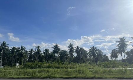 ขายที่ดิน - ขายที่ดินทำเลติดถนนใหญ่ หน้ากว้าง 112 เมตร ใกล้เซ็นทรัลสุราษฎร์