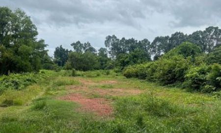 ขายที่ดิน - ขายที่ดินใกล้ศูนย์ราชการใหม่ เนื้อที่ 2 งาน ห่างจากถนน 4 เลน 700 เมตร