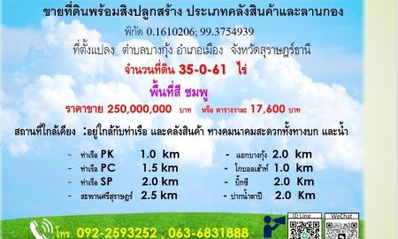 ขายที่ดิน - ขายที่ดิน 35 ไร่ 61 ตารางวา ตำบลบางกุ้ง อำเภอเมือง จังหวัดสุราษฎร์ธานี