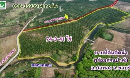 ขายที่ดิน - ขายสวนปาล์ม ชลบุรี อ.บ่อทอง ต.วัดสุวรรณ ติดแม่น้ำ อายุพร้อมเก็บเกี่ยว 10 ปี