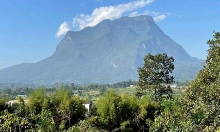 ขายที่ดิน - ขายที่ดินตำบลเชียงดาวแปลงใหญ่วิวดอยหลวงโฉนดพร้อมโอน