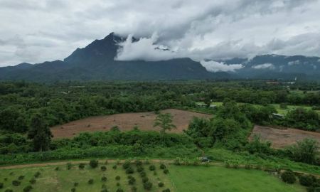 ขายที่ดิน - ขายที่ดินตำบลเชียงดาววิวดอยหลวงโฉนดพร้อมโอน
