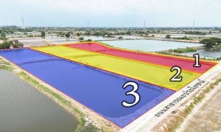 ขายที่ดิน - ขาย บ่อกุ้ง บ้านโพธิ์ ฉะเชิงเทรา ใกล้ มินิ มูร่าฟาร์ม ตร.ว.ละ 1,500 บาท