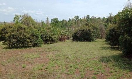 ขายที่ดิน - ขายที่ดิน 17-3-73ไร่ 11.7ลบ. สวนลำไย บ.โป่งกุ่ม ต.แม่โป่ง ดอยสะเก็ด เชียงใหม่