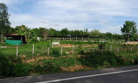 ขายที่ดิน - ขายที่ดิน 9ไร่3งาน 3.5ล้านบาท ฟาร์มวัว ทำต่อได้ ต.เวียงตาล อ.ห้างฉัตร ลำปาง