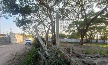 ขายที่ดิน - ขายที่ดินตำบลหนองผึ้งสารภีใกล้แยกกองทรายห่างถนนหลัก 200เมตร