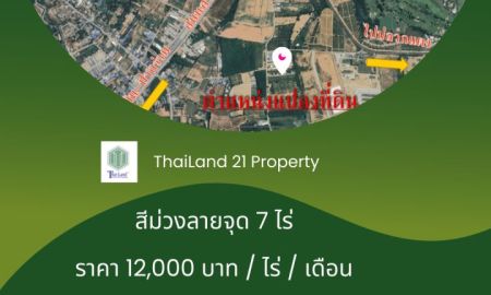 ให้เช่าที่ดิน - ให้เช่าที่ดินสีม่วงลายจุด บ่อวิน ศรีราชา ชลบุรี EEC