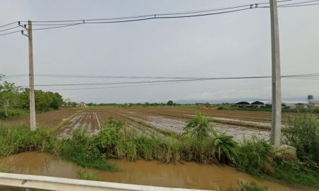 ขายที่ดิน - ขายที่ดินหน้าสนามบินแม่ฟ้าหลวง ต.บ้านดู่ อำเภอเมืองเชียงราย เชียงราย พื้นที่ 31-0-49 ไร่