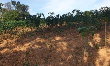 ขายที่ดิน - ขายที่ดินเปล่าติดเขื่อนสียัด ต.คลองตะเกรา อ.ท่าตะเกียบ จ.ฉะเทริงเทรา พื้นที่ 2-3-59 ไร่