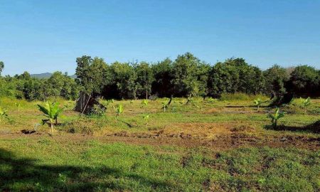 ขายที่ดิน - ขายด่วน!] ที่ดินแปลงใหญ่ 76 ไร่เศษ ติดถนนพหลโยธิน ต. สมอโดน อ.บ้านตาก จ.ตาก หน้ากว้างสวย 425 เมตร ทำเลดี ติดห้วยธรรมชาติ เหมาะลงทุนและทำเกษตร