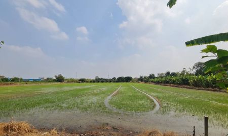 ขายที่ดิน - ขายที่ดิน 5 ไร่ 3 งาน 56.3 ตารางวา หน้ากว้าง 107.72 เมตร ยาว 77.01 เมตร