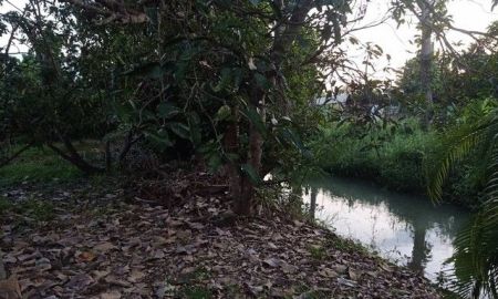 ขายที่ดิน - ขายที่ดิน 136.9ตรว. 1.37ล้านบาท ติดน้ำ ถนน ใกล้ตลาดประตูป่า ต.เหมือง่า อ.เมือง ลำพูน