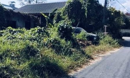 ขายที่ดิน - ขายที่ดินตำบลป่าตันในหมู่บ้านเทียมพรห่างตลาดบ้านท่อ 500เมตร