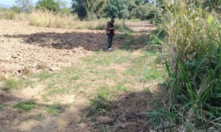 ขายที่ดิน - ขายที่ดินเปล่า12 ไร่ ทำเลสวย อากาศดี อำเภอภูเรือ จังหวัดเลย