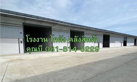 ให้เช่าโรงงาน / โกดัง - ให้เช่าโรงงาน โกดัง คลังสินค้า ขนาดเริ่มต้น 100 ตร.ม. ถึง 8,000 ตร.ม. แถวแคราย คลองมะเดื่อ นาดี บางน้ำจืด สมุทรสาคร