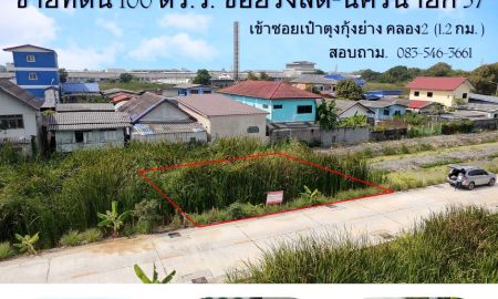 ขายที่ดิน - ขายที่ดิน 1งาน ซอยรังสิต-นครนายก 57 ธัญบุรี คลอง 2 ซอยข้างร้านเป๋าตุงกุ้งเผา