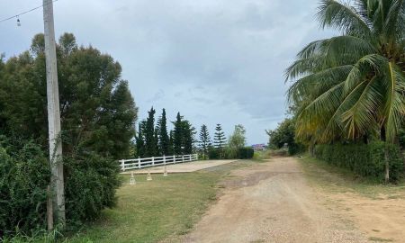 ขายที่ดิน - ขายที่ดิน 3 ไร่ ทำเลสวยมาก วิวเห็นเขารอบด้าน 360 องศา ใกล้พระธาตุช่อแฮ ใกล้สนามบินแพร่