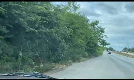 ขายที่ดิน - ขายที่ดินแปลงใหญ่ 56 ไร่ ติดถนนหลัก ทำเลทอง เส้นAEC เจ้าของขายเอง ราคาพิเศษ