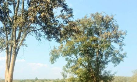 ขายที่ดิน - ที่ดินเนินสวย ติดแหลงน้ำ ราคาถูก อ.เวียงสา น่าน