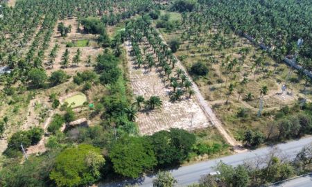 ขายที่ดิน - ขายที่ดินทับสะแกแลนด์ 5-3-96 ไร่ ติดถนนสายเอเชีย ทำเลทอง ราคาสำหรับนักลงทุน เพชรเกษมขาล่องใต้ ประจวบคีรีขันธ์