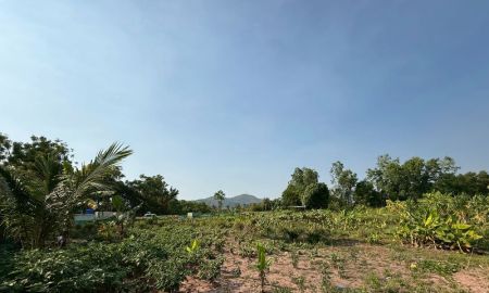 ขายที่ดิน - ขายที่ดินนาพร้าว ซอยลุงเทิ้ม ศรีราชา แปลงสวย แหล่งชุมชน