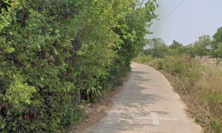 ขายที่ดิน - ขายที่ดินบ้านซ่อง 3 ไร่ ติดถนนคอนกรีต ติดฝายน้ำใกล้ถนนสี่เลน319-500เมตร อ.พนมสารคาม ฉะเชิงเทรา