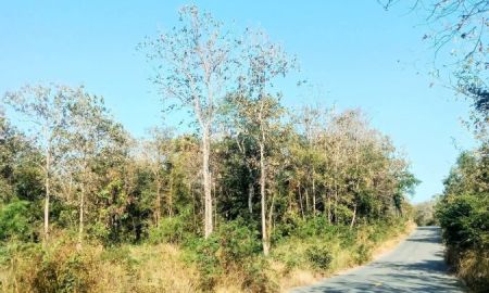 ขายที่ดิน - ที่ดินทำเลดี ทางผ่านเข้าหมู่บ้าน ขายถูก อุตรดิตถ์