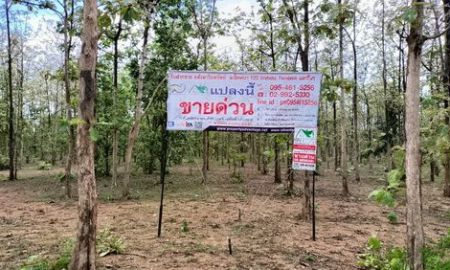 ขายที่ดิน - ที่ดินพร้อมสวนป่าสัก 8-2-21 ไร่ (5แปลงติดกัน) ตำบลทุ่งยั้ง อำเภอลับแล จังหวัดอุตรดิตถ์