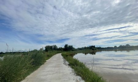 ขายที่ดิน - ขายที่นาพนมสารคาม 4 ไร่ หลังตลาดพนม ใกล้ถนนเส้น 3444 850 เมตร ใกล้ถนนเส้น 3481 1 กม. จ.ฉะเชิงเทรา