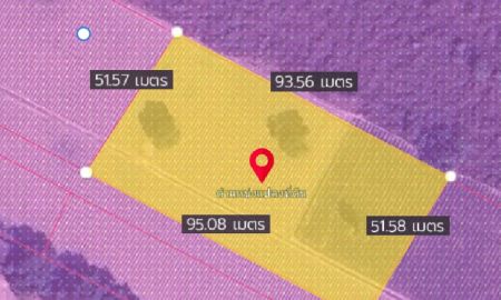 ขายที่ดิน - ขายที่ดินสีม่วงลายมะขามคู่ นิคมพัฒนา 2 ไร่(ขยายได้8ไร่) ใกล้ถนน36-500เมตร จ.ระยอง