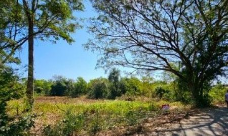 ขายที่ดิน - ขายที่ดินสวย วิวธรรมชาติ เนื้อที่ 2 งาน 26 ตารางวา จังหวัดอุดรธานี