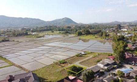 ขายที่ดิน - ขายที่ดิน 55 ตร.ว. วิวดอยสวย น้ำไฟดึงได้ไม่ไกล อ.แม่ออน