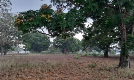 ขายที่ดิน - ขายที่ดินเปล่าเหมาะสำหรับปลูกสร้างบ้าน ในโครงการหมู่บ้านเดอะลากูน1 อำเภอสามโคก จังหวัดปทุมธานี ติดละเลสาป