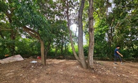 ขายที่ดิน - ขายที่ดิน 2ไร่ 2 งาน 42 ตารางวา ใกล้มหาวิทยาลัยมหาสารคาม