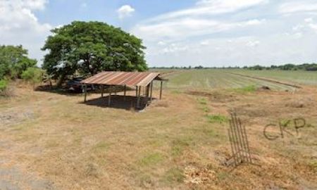 ขายที่ดิน - ขาย ที่ดินเปล่า ขนาด 35 ไร่ 184 ตร.วา เป็นที่นา บรรยากาศร่มรื่น เหมาะสำหรับทำบ้านพักหรือการเกษตรกรรม ใกล้ม.ชินวัตร