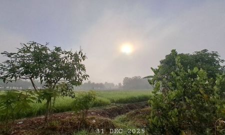 ขายที่ดิน - ร้อนเงินขายถูกมาก เจ้าของขายเองมีโฉนด 2 ไร่ครึ่งขายยกแปลงเพียง 890,000 บาทรวมโอน