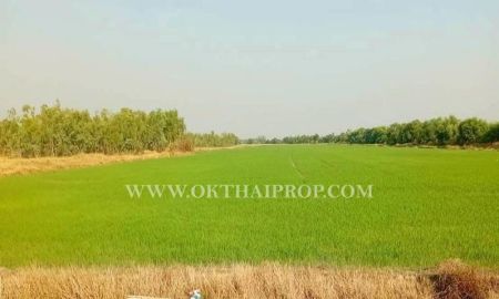 ขายที่ดิน - ที่ดิน คลอง14 ถนนรังสิต-นครนายก ใกล้ มศว. อ.องครักษ์ จ.นครนายก