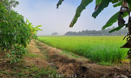 ขายที่ดิน - ขายไร่นาสวนผสมติดถนนลาดยาง เหมาะทำโคกหนองนา บ้านสวน สวนเกษตร