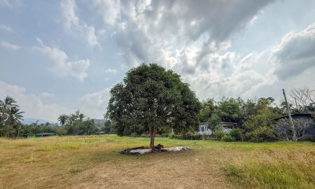 ขายที่ดิน - ขายที่ดินแปลงงาม บ้านโค้งดารา ศรีราชา หนองขาม ชลบุรี