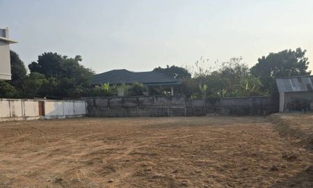 ขายที่ดิน - ขายที่ดินหนองปรือ พัทยา 100 ตรว. ถมแล้วซอยหนองสมอ11 ใกล้ถ.สุขุมวิท3-3กม. อ.บางละมุง ชลบุรี