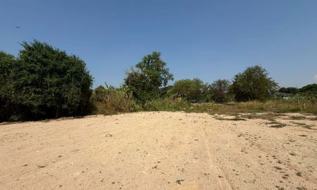 ขายที่ดิน - ขายที่ดินนาพร้าว ศรีราชา ราคาดี แหล่งชุมชน ใกล้ตลาด และโรงเรียน