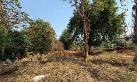 ขายที่ดิน - ขายที่ดินแปลงสวย ราคาดี ซอยหมู่บ้านลัดดาเฮ้าส์ ศรีราชา ชลบุรี