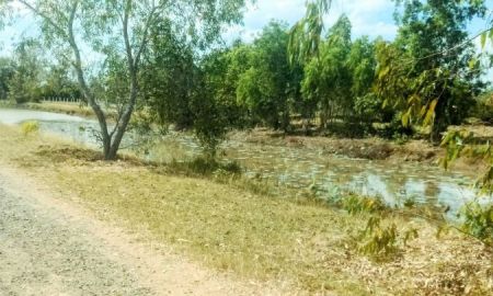 ขายที่ดิน - ที่นามีโฉนด ติดถนน ติดคลอง วิวสวย ใกล้เมืองบุรีรัมย์