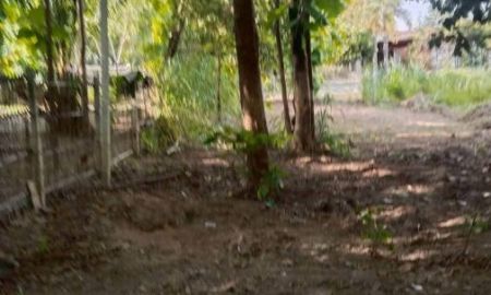 ขายที่ดิน - ขายที่ดินตำบลน้ำแพร่หางใกล้เมืองโฉนดพร้อมโอน