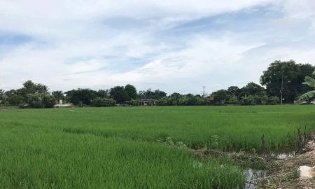 ขายที่ดิน - ขายที่ดินทำเลดีห่างเซ้นทรัลเฟสเพียง 8 กม พร้อมโอน