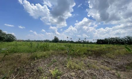 ขายที่ดิน - ขายที่ดิน 7 ไร่ ปากช่อง-เขาใหญ่ (แบ่งขายได้) ติดถนนธนะรัชต์ ต.หนองน้ำแดง