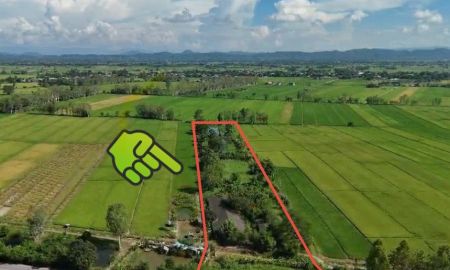 ขายที่ดิน - ที่ดินราคาถูก 13 ไร่ 3 งาน 82 ตรว. ติดถนนเรียบริมแม่น้ำกก เป็นฟาร์มหมูเก่า มีสระน้ำสองลูก