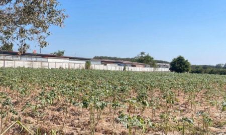 ขายที่ดิน - ขายที่ดินแม่น้ำคู้ 1 ไร่ ซอย5 ติดถนนลาดยาง ใกล้ตลาดป้าไสว-5กม. อ.ปลวกแดง ระยอง