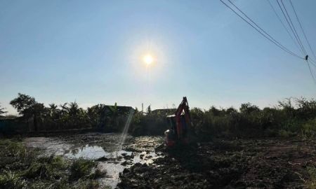 ขายที่ดิน - ขายที่ดิน ซอย สุวินทวงศ์ 51 หนองจอก 198 วา