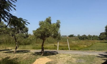 ขายที่ดิน - ขายที่ดินในตัวเมืองบางคล้าเนื้อที่ 4 ไร่ ติดถนน2ด้านซอยซ.ราษฎรอุทิศ หลังการประปา อ.บางคล้า จ.ฉะเชิงเทรา